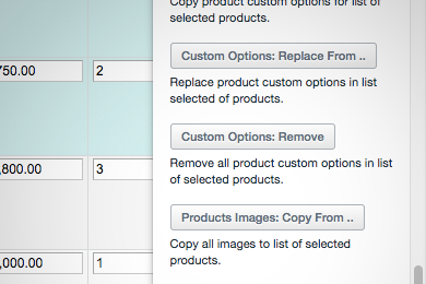 Remove custom options from products mass action